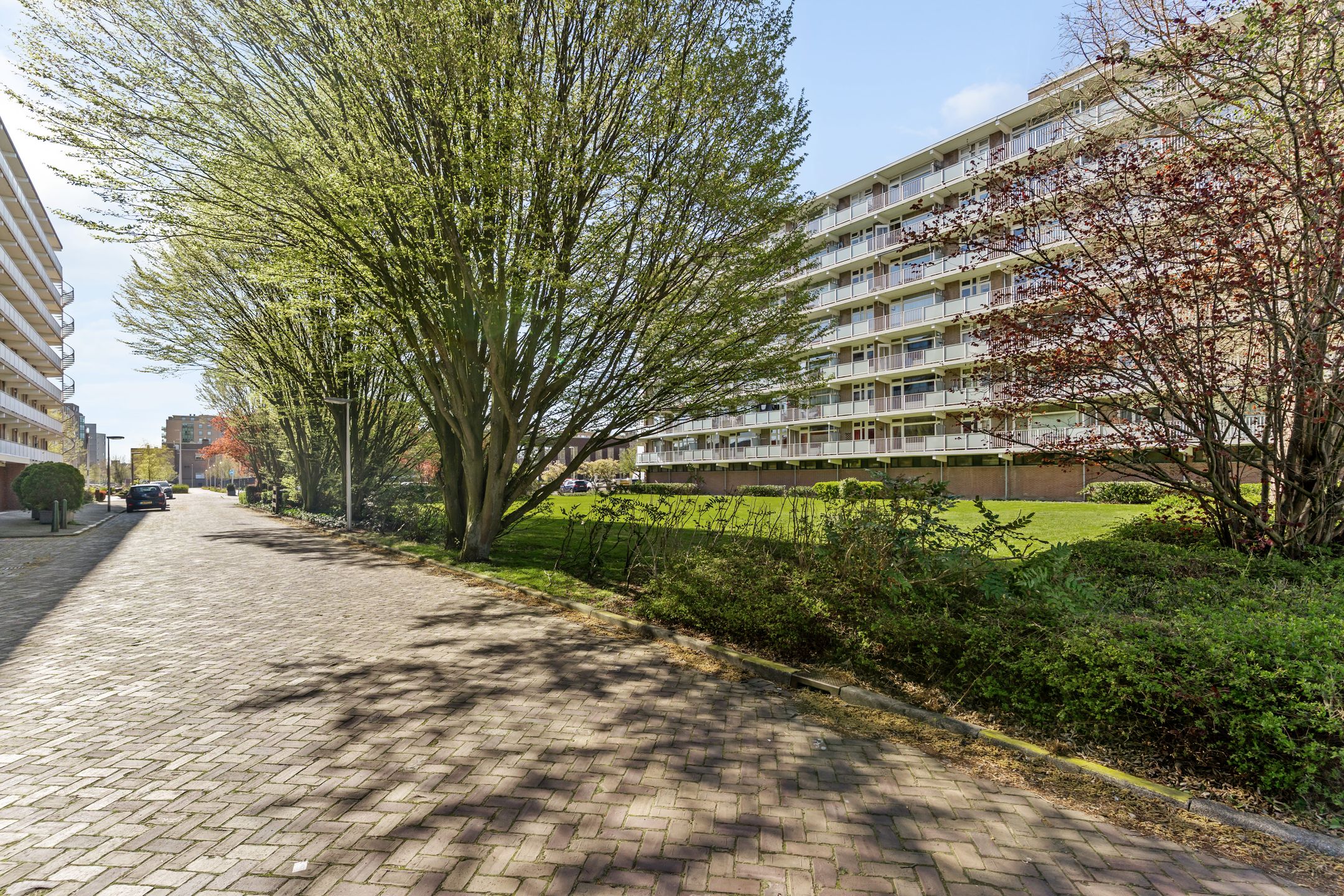 Photo 30 of Alkenoord 240