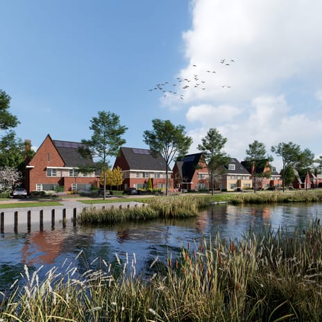 De Singels main image