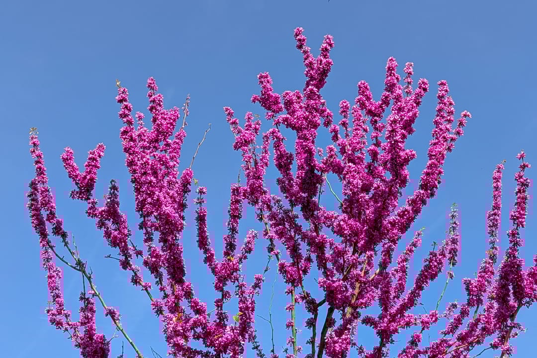 Foto 32 van Brouwershavenstraat 8