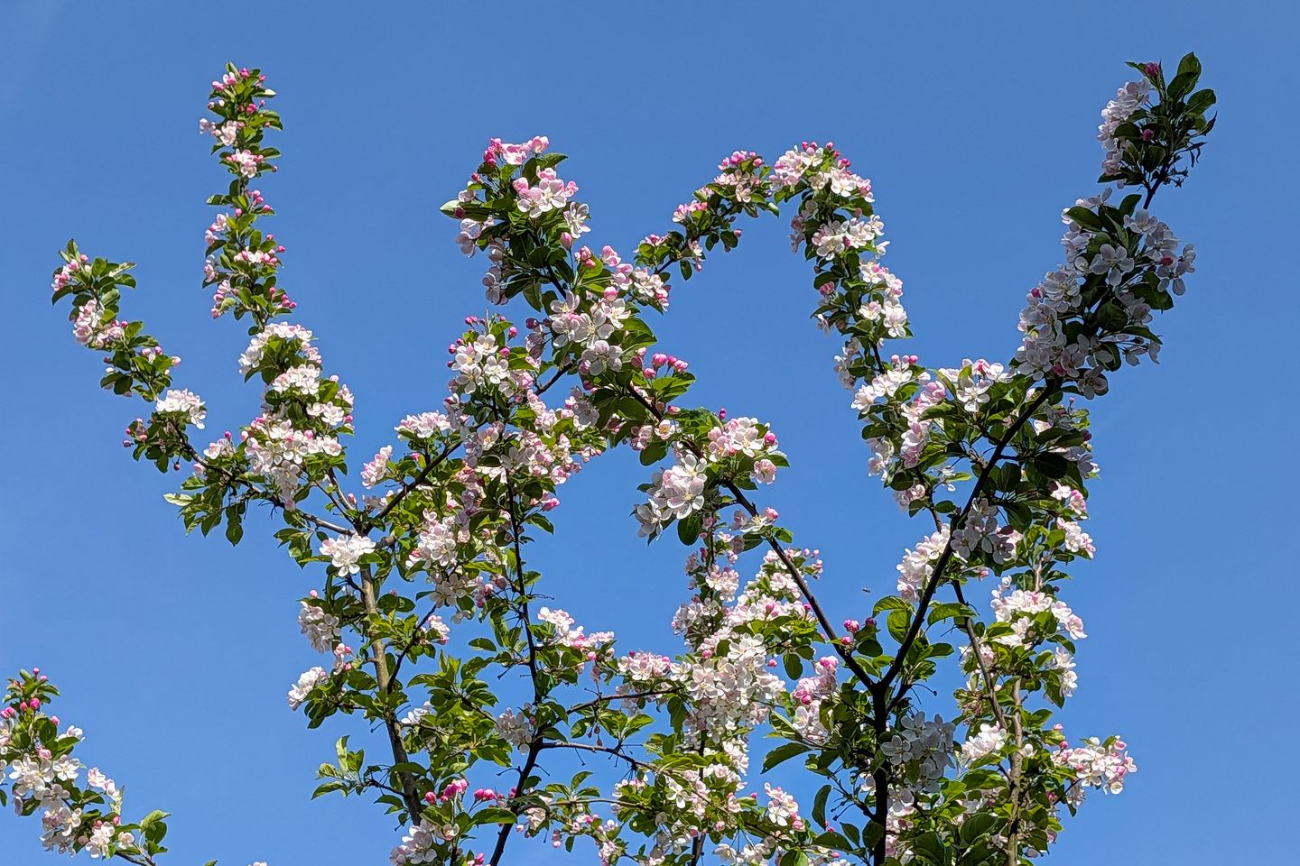 Foto 34 van Brouwershavenstraat 8