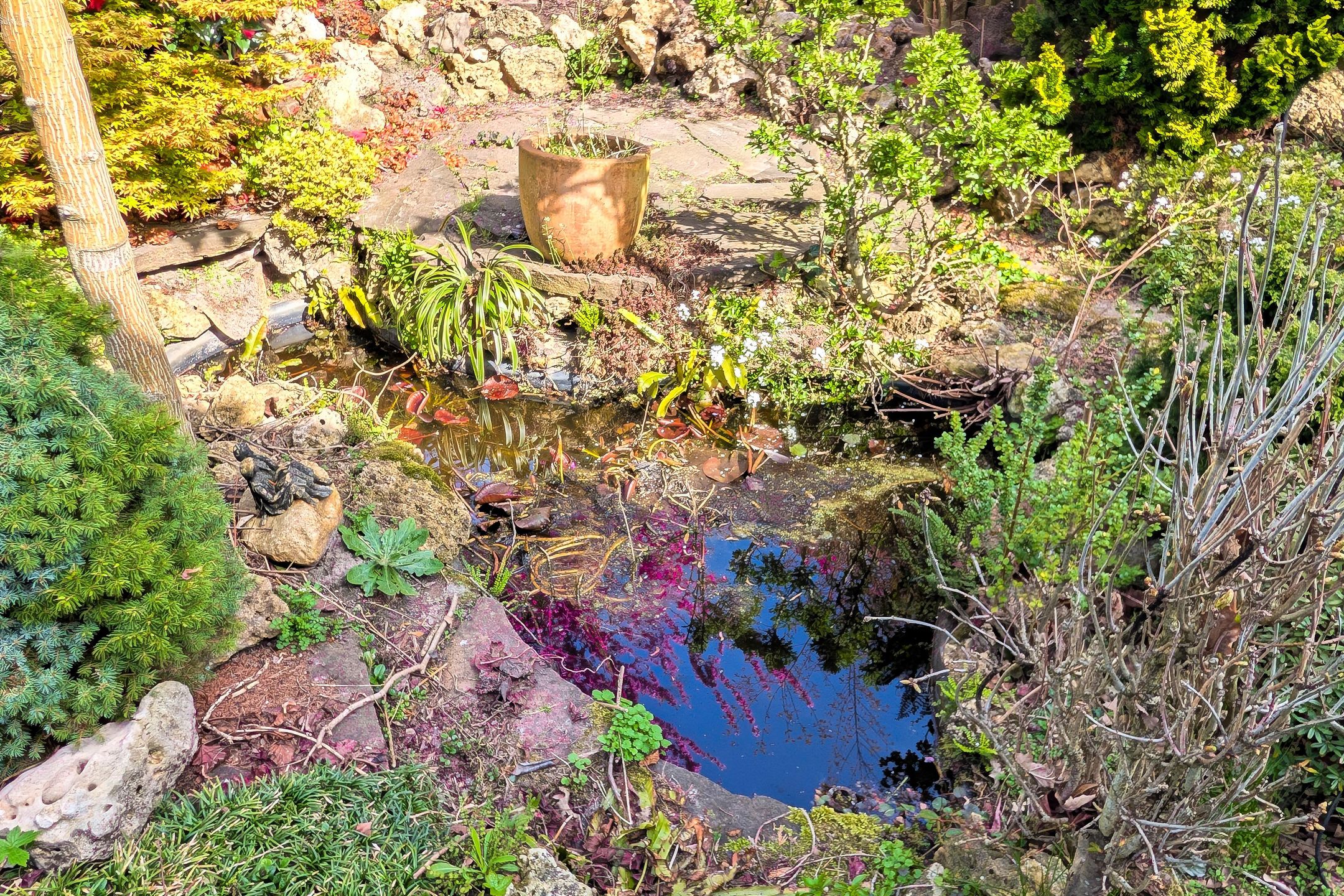 Foto 39 van Brouwershavenstraat 8