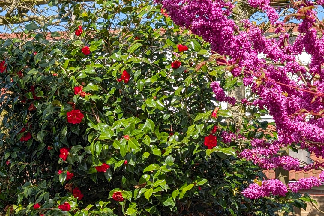 Foto 38 van Brouwershavenstraat 8