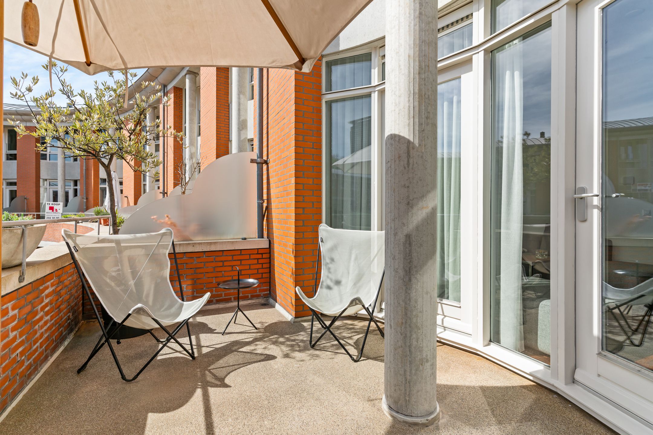 Foto 12 van Bocht van Guinea 34