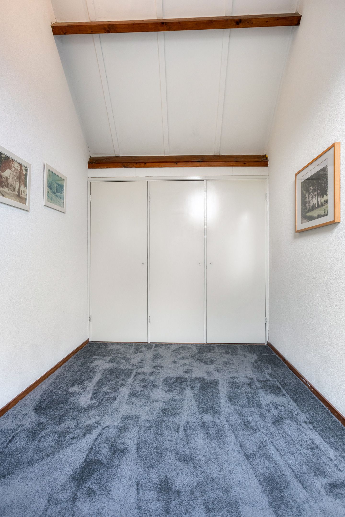 Foto 48 van Capellegoedweg 3