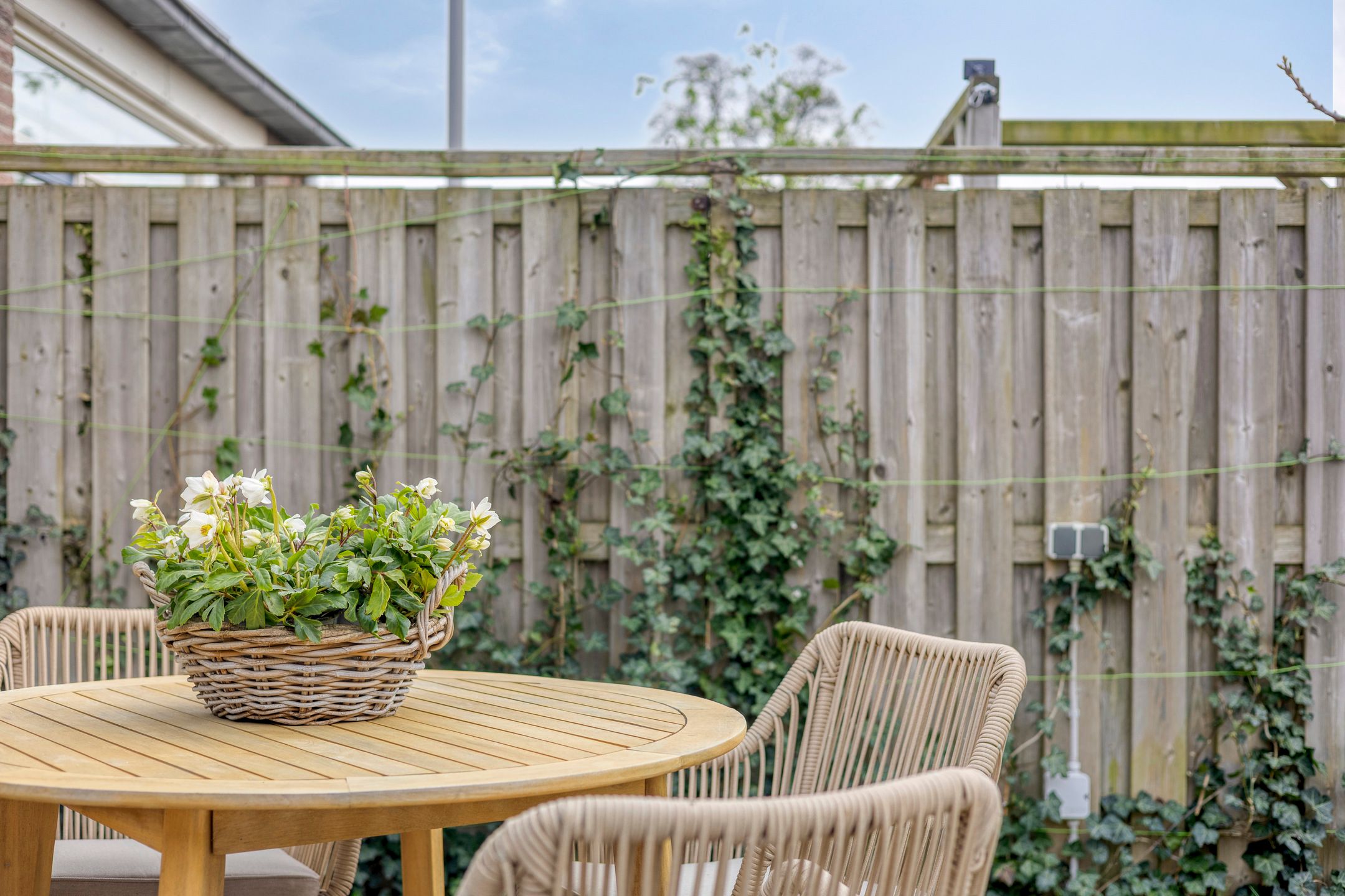 Foto 39 van Beetwortelweg 3