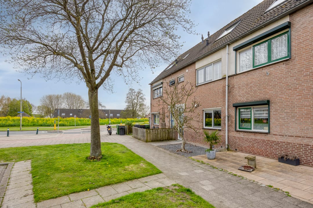 Foto 7 van Beetwortelweg 3