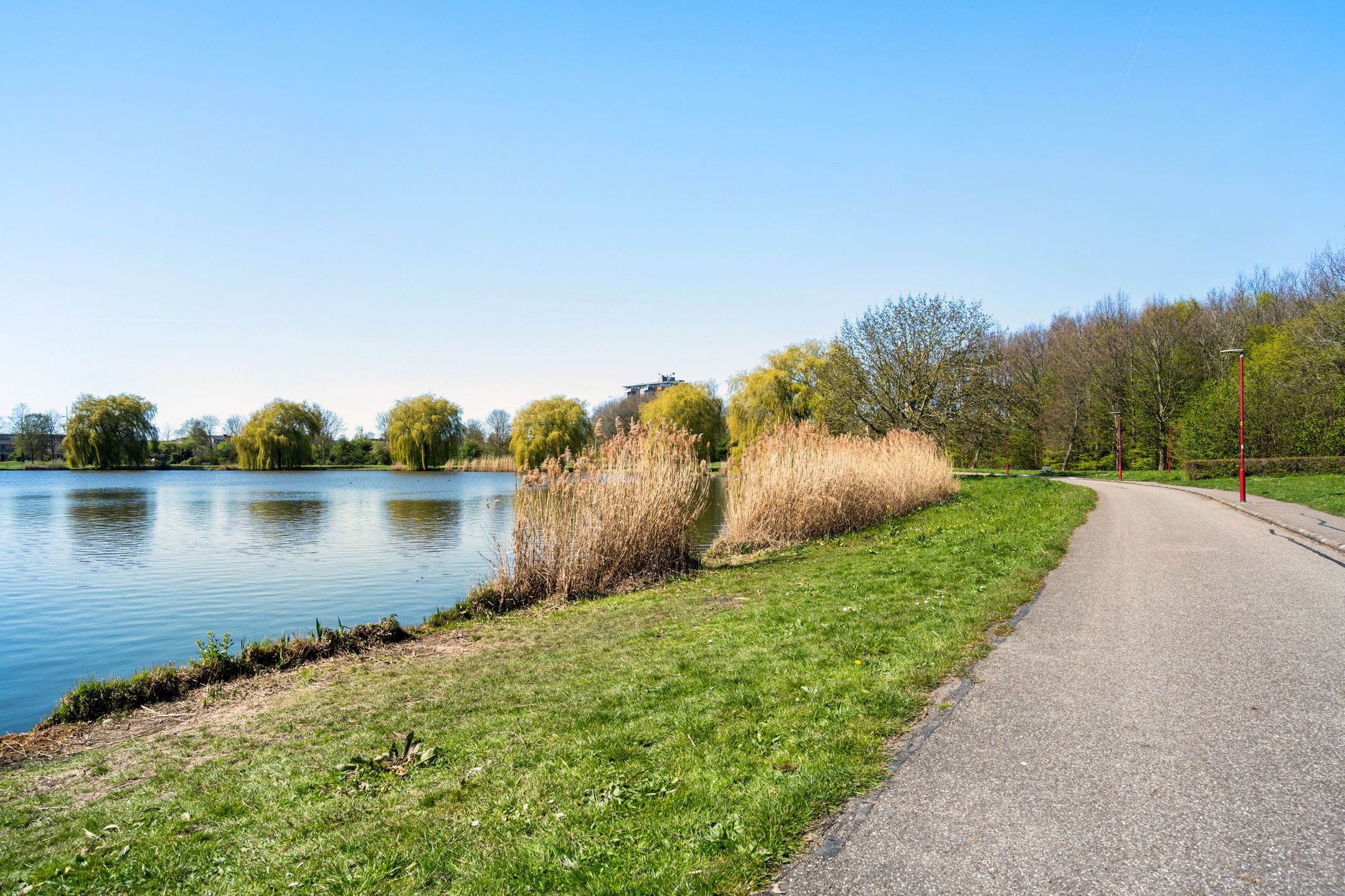 Foto 54 van Grasgroen 66