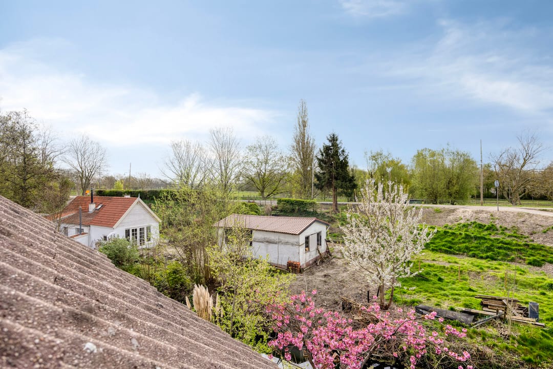 Foto 26 van Fazant 42