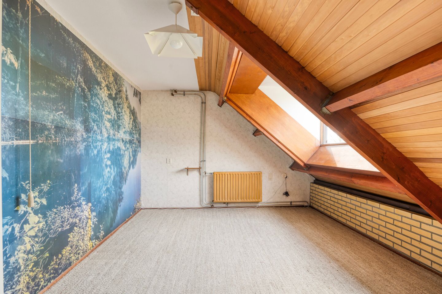 Foto 4 van Fazant 42