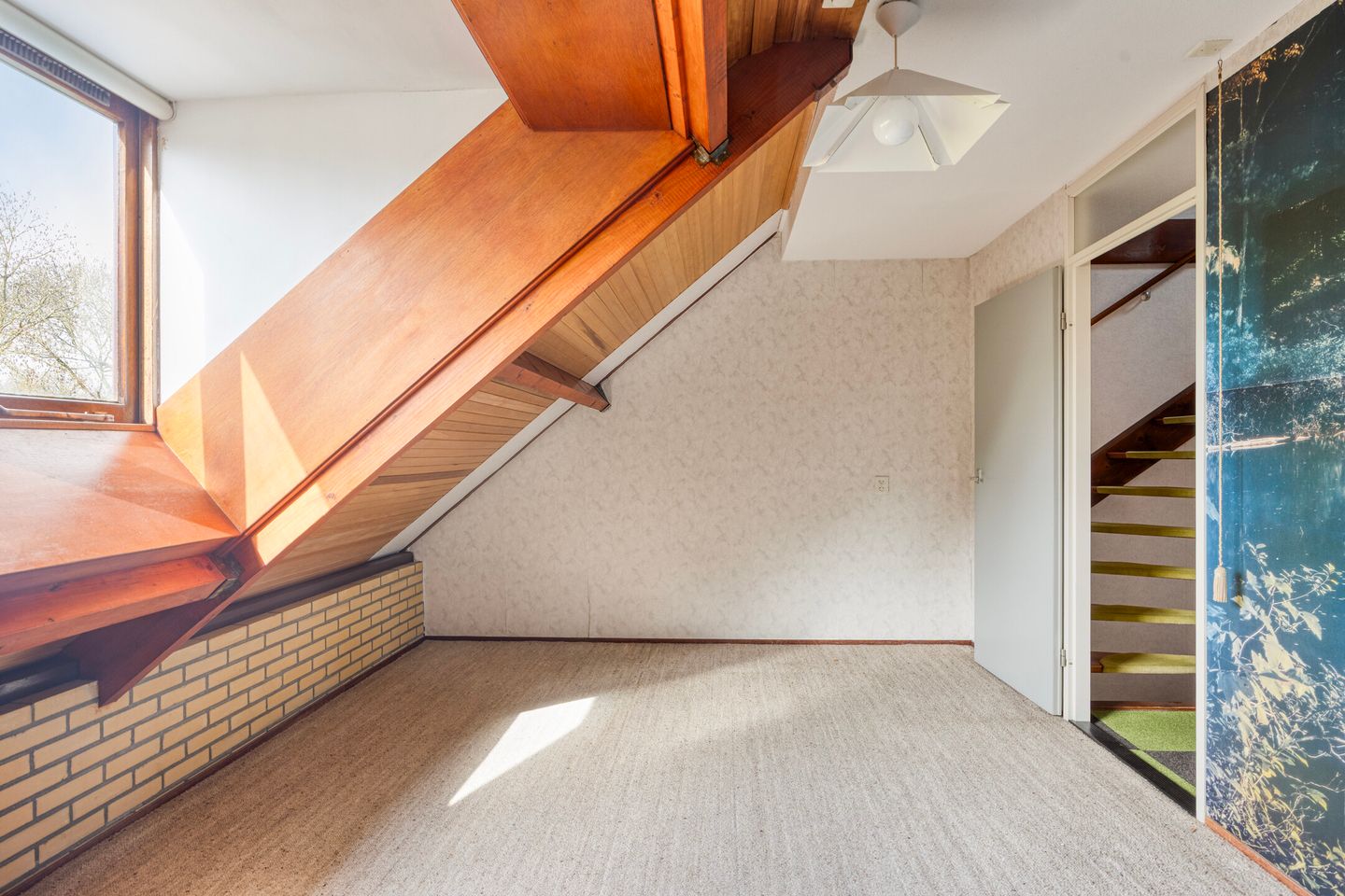 Foto 19 van Fazant 42