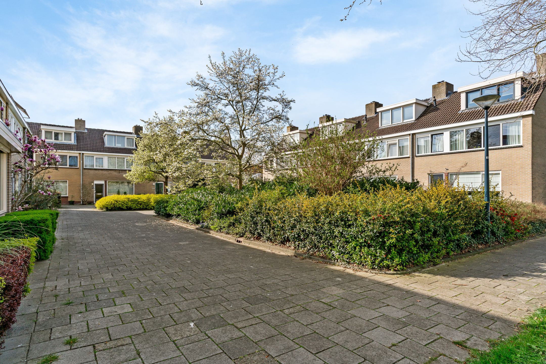 Photo 9 of Rotiusstraat 40