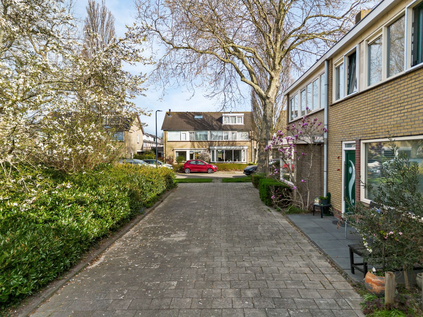 Photo 5 of Rotiusstraat 40