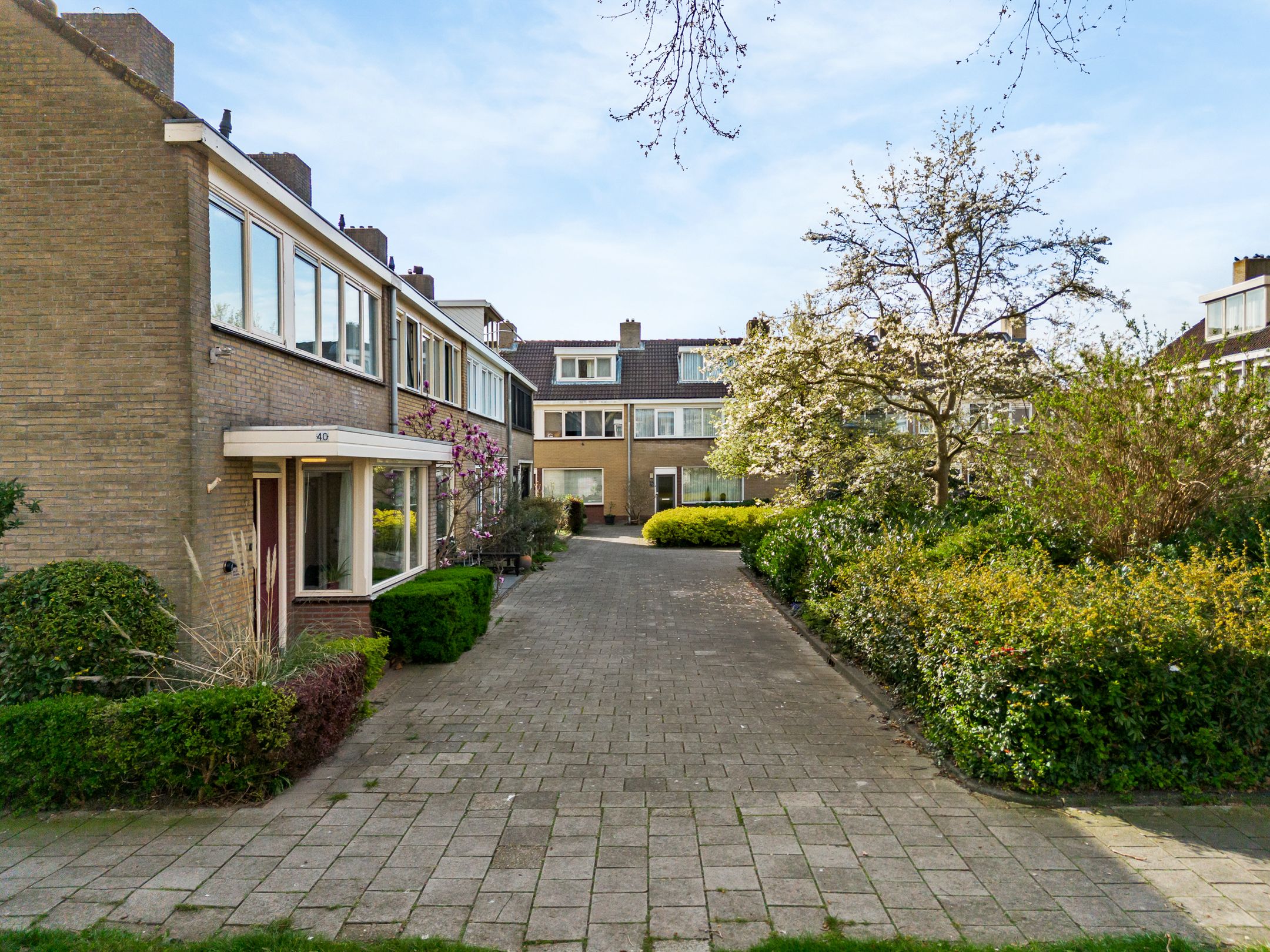 Photo 6 of Rotiusstraat 40