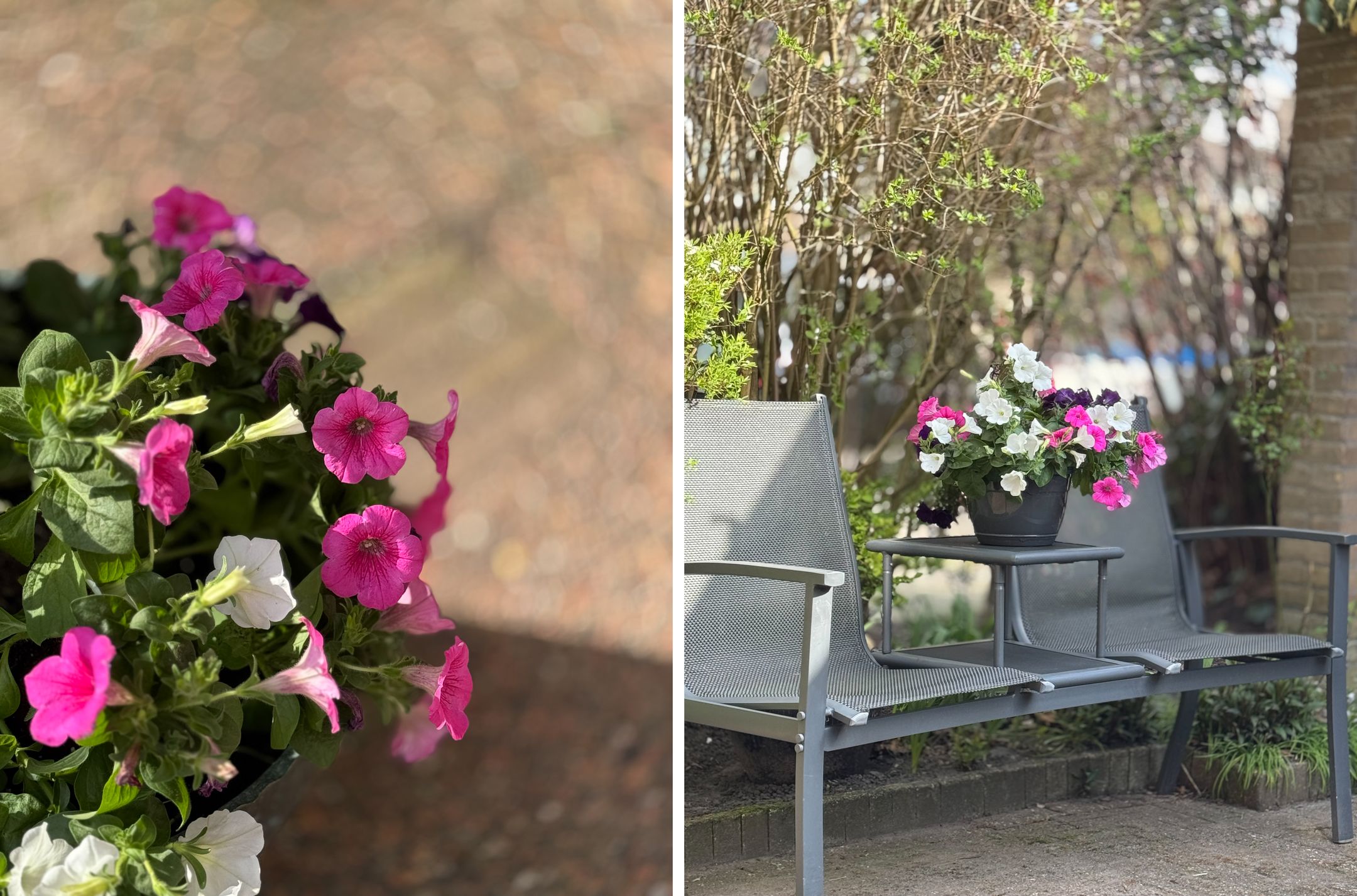 Photo 39 of Rotiusstraat 40