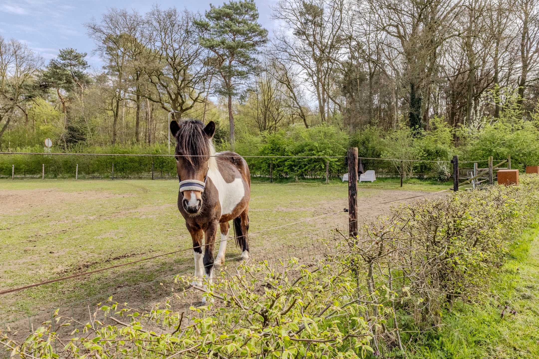 Photo 72 of Woestenes 7