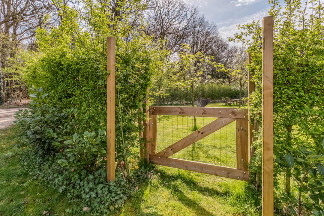 Photo 73 of Woestenes 7