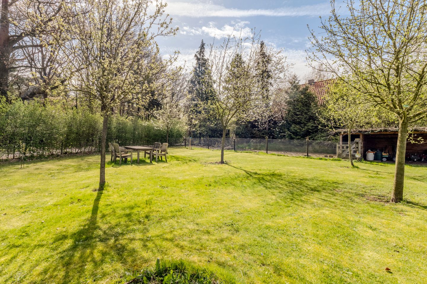 Photo 74 of Woestenes 7