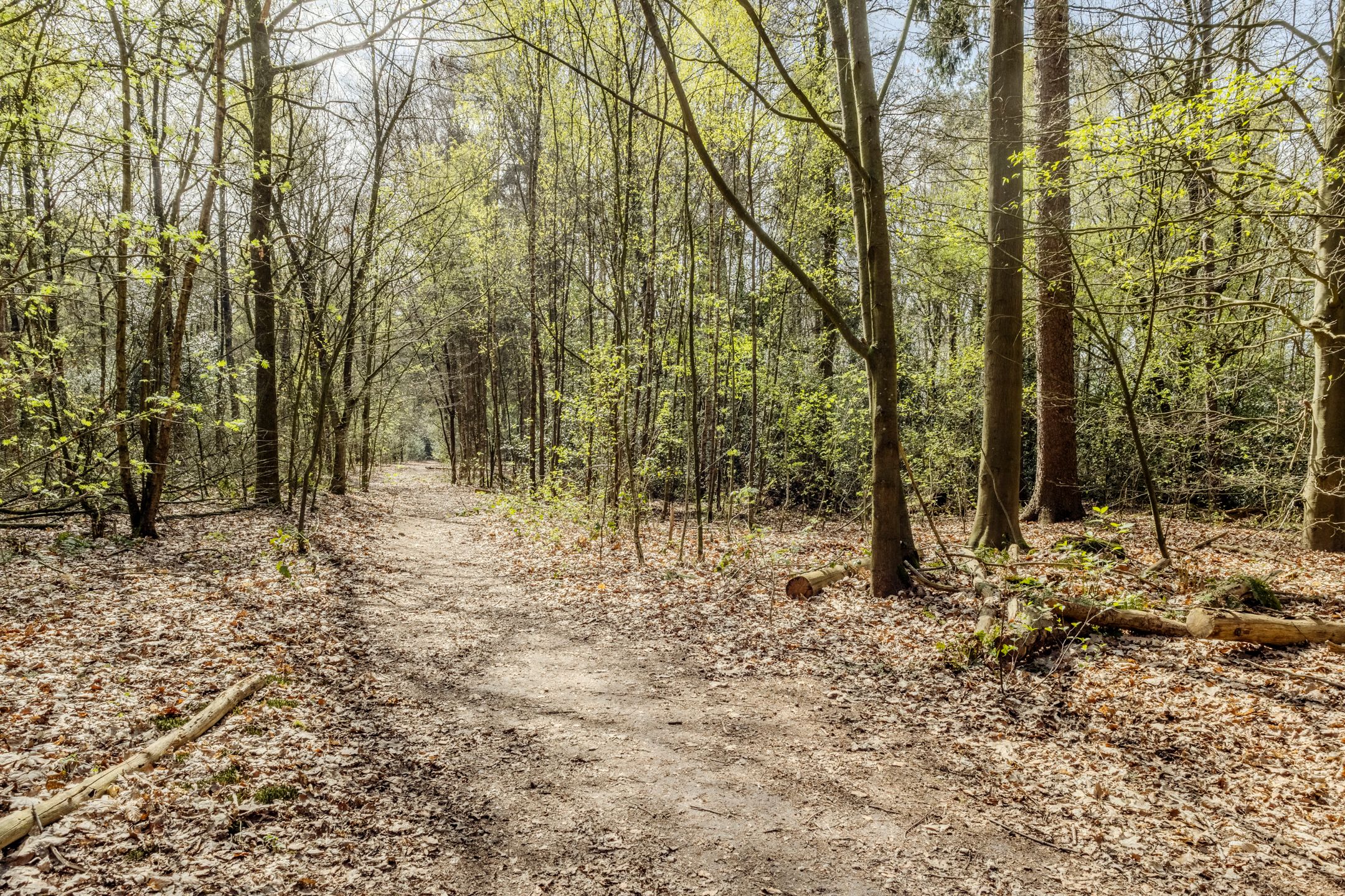 Photo 84 of Woestenes 7