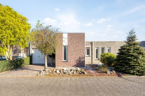 Citroenvlinder thumbnail