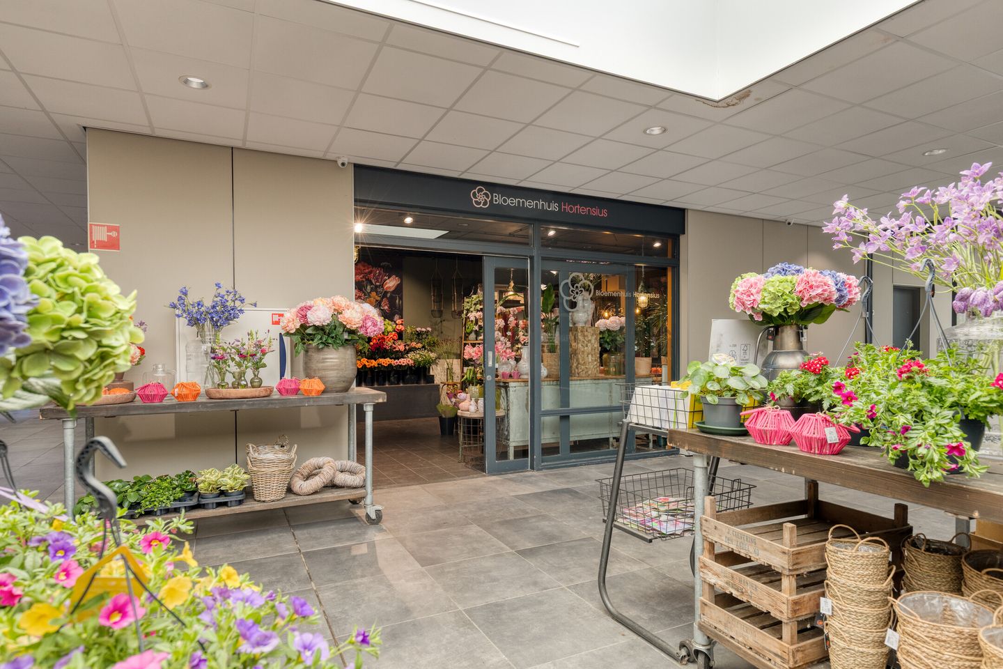 Bekijk foto 3 van De Meent 24