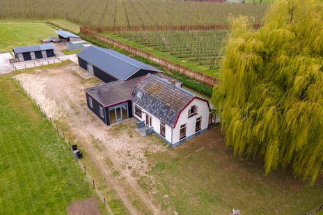 Rijnstraat thumbnail