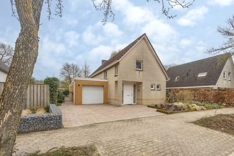 Zilverschoon thumbnail