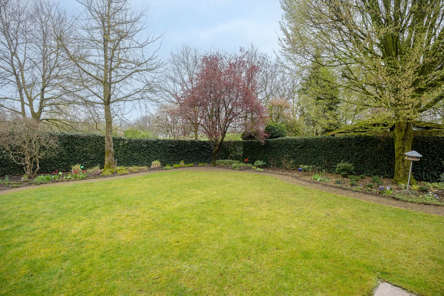 Photo 34 of Zilverschoon 14