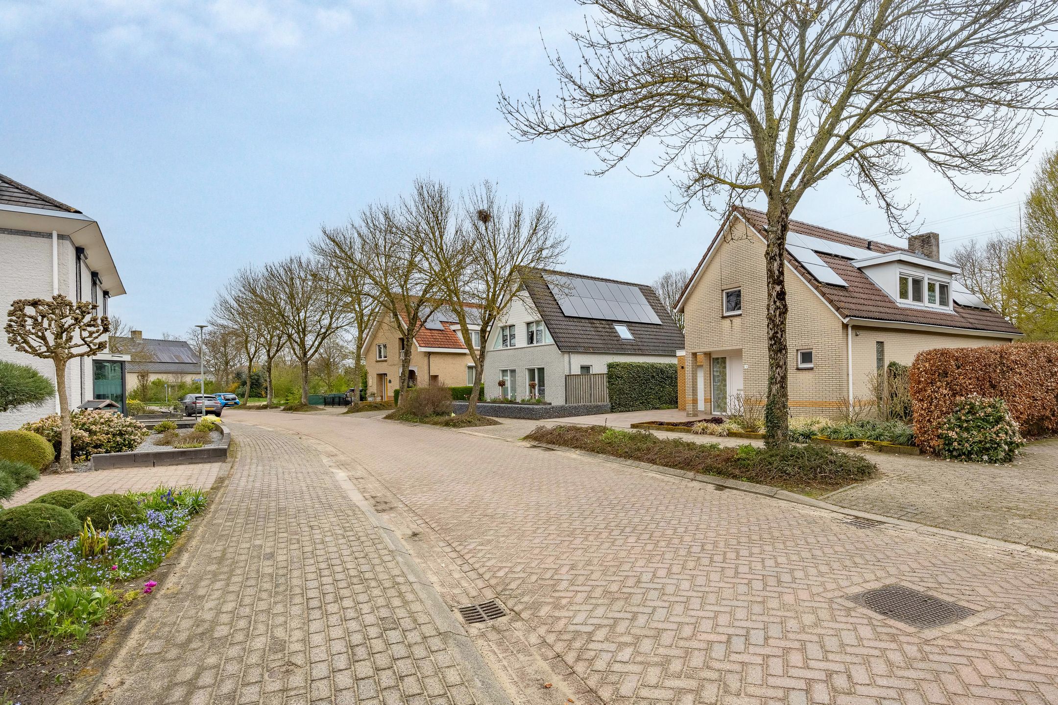 Photo 42 of Zilverschoon 14