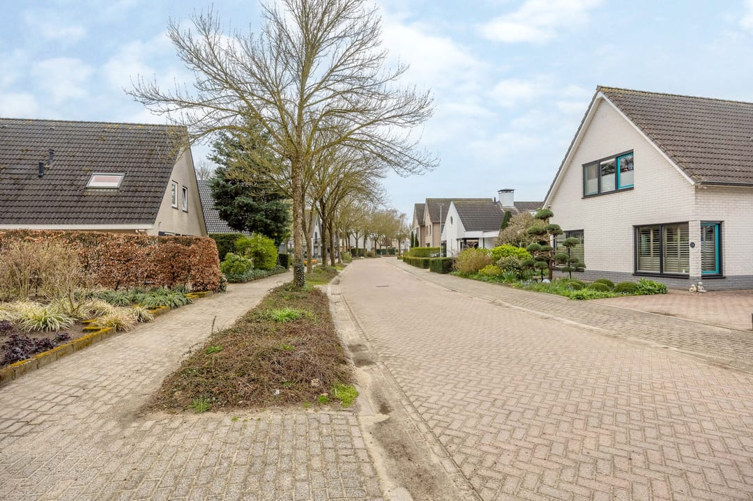 Photo 43 of Zilverschoon 14