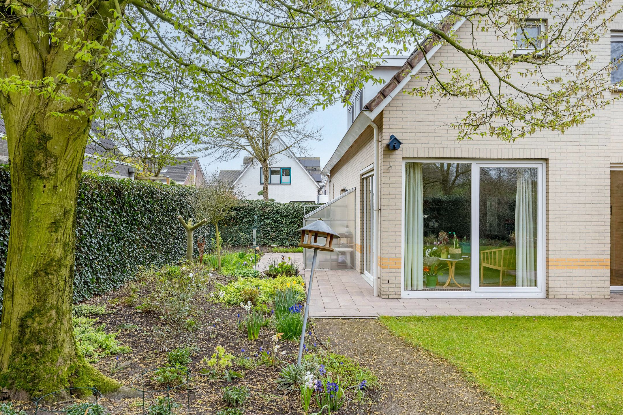 Photo 36 of Zilverschoon 14