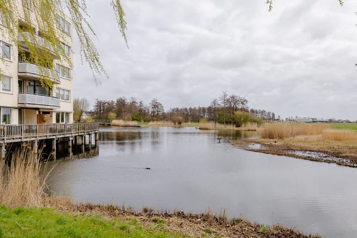 Foto 2 van Oosterweide 95