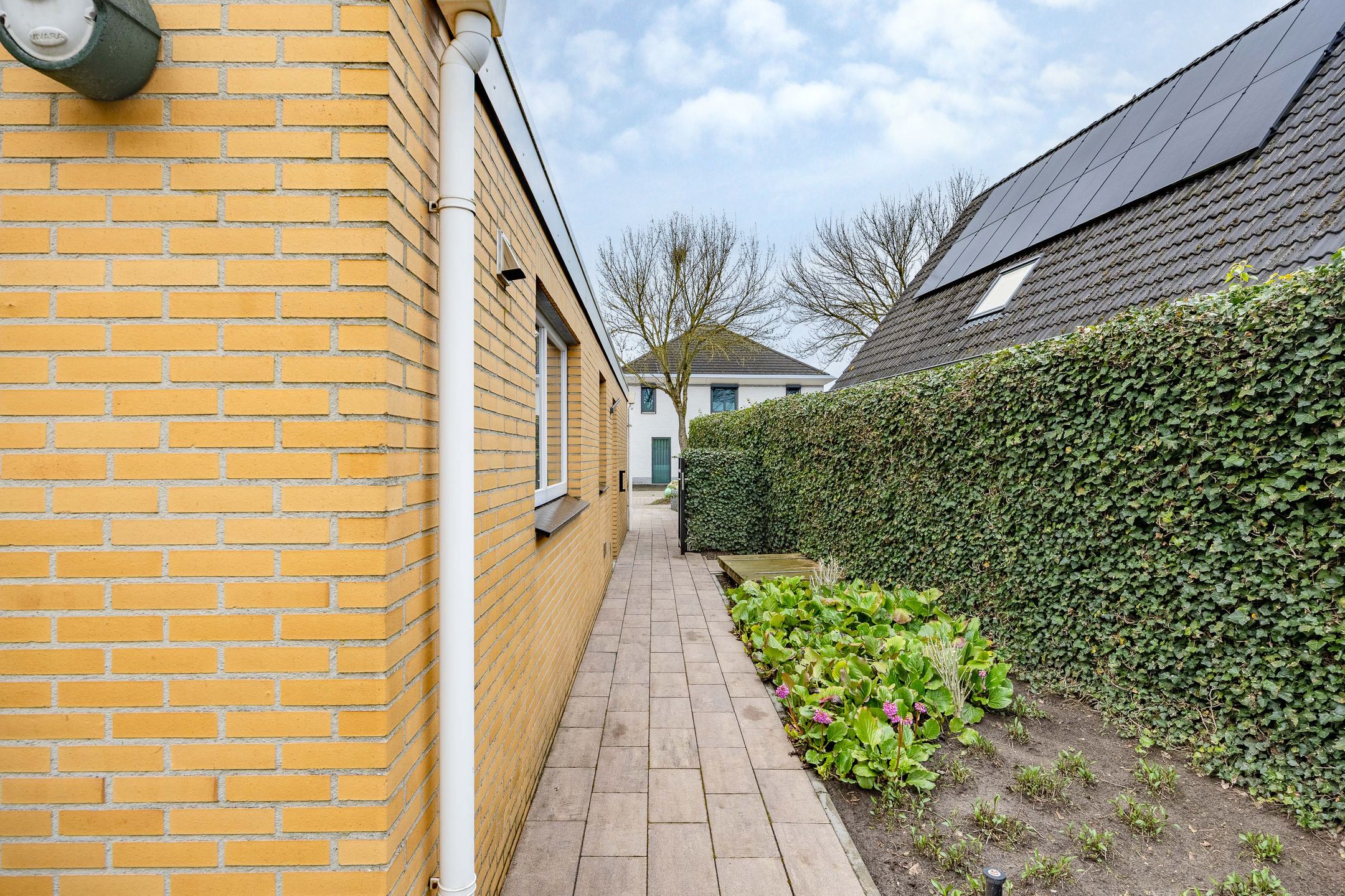 Photo 33 of Zilverschoon 14