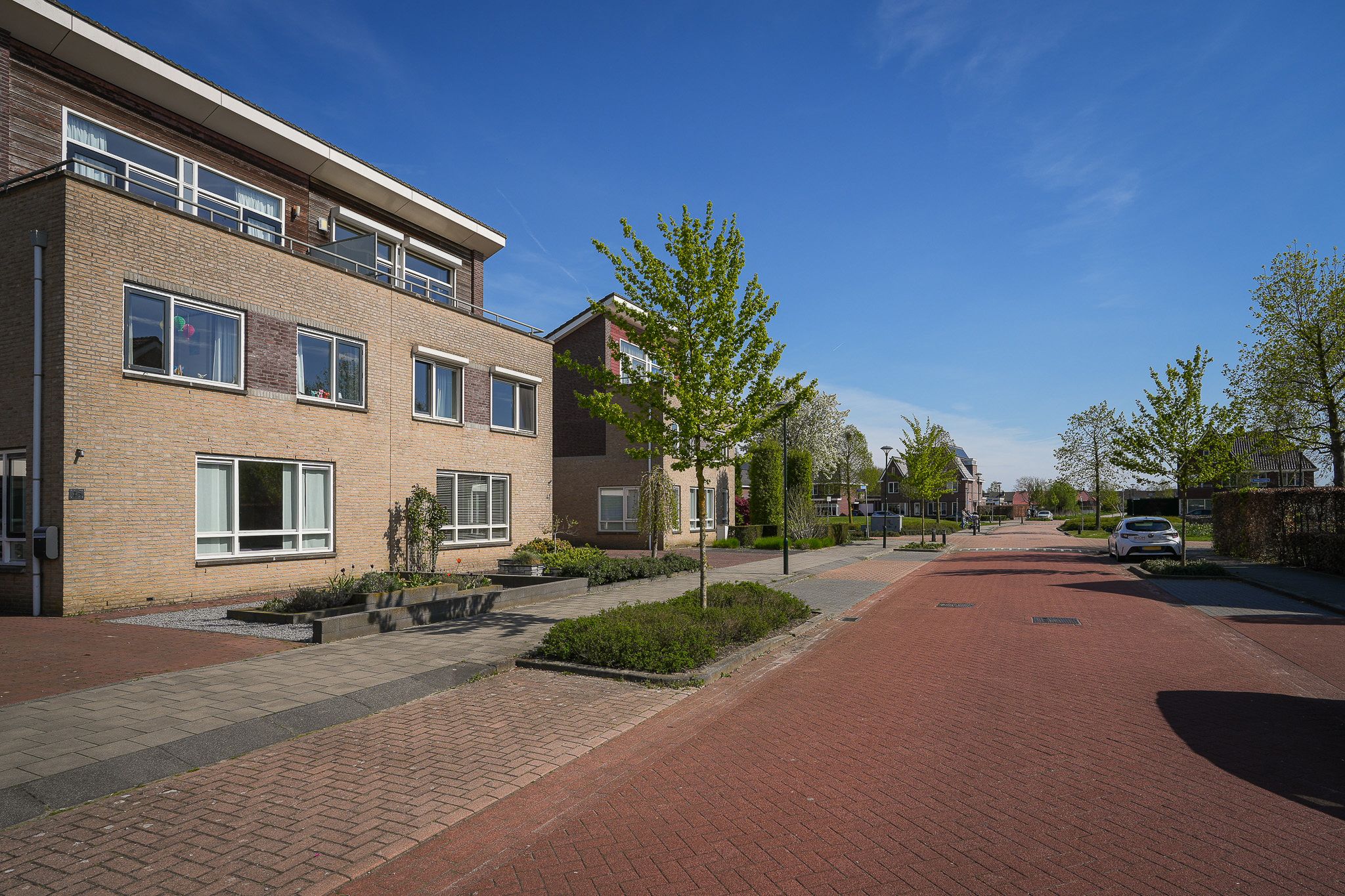 Foto 42 van Bunzinghage 47