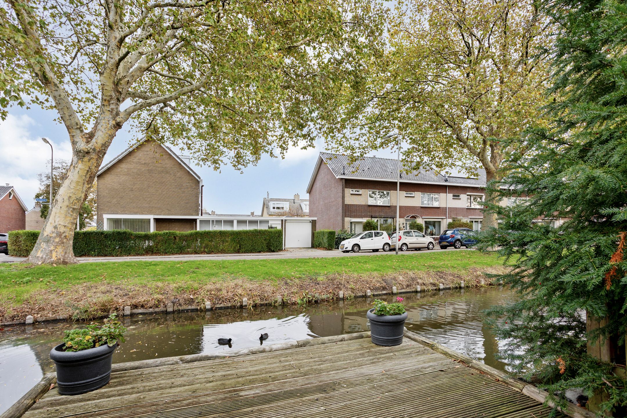 Photo 39 of Elf Guldensmijn 2