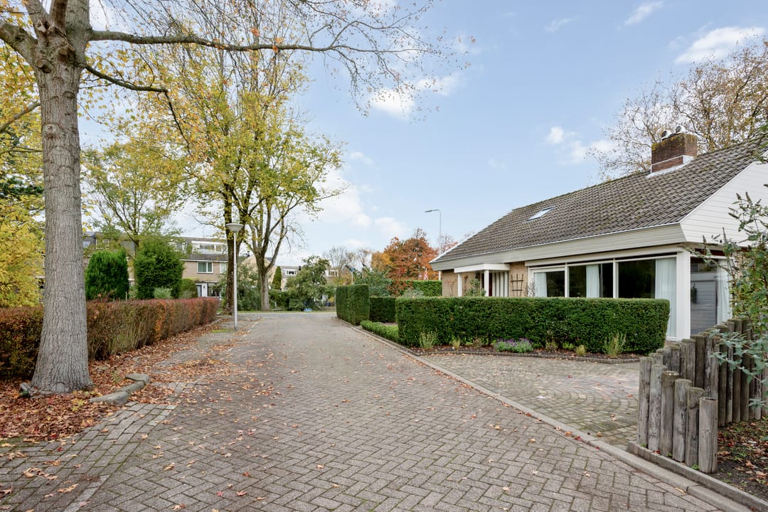 Photo 52 of Elf Guldensmijn 2