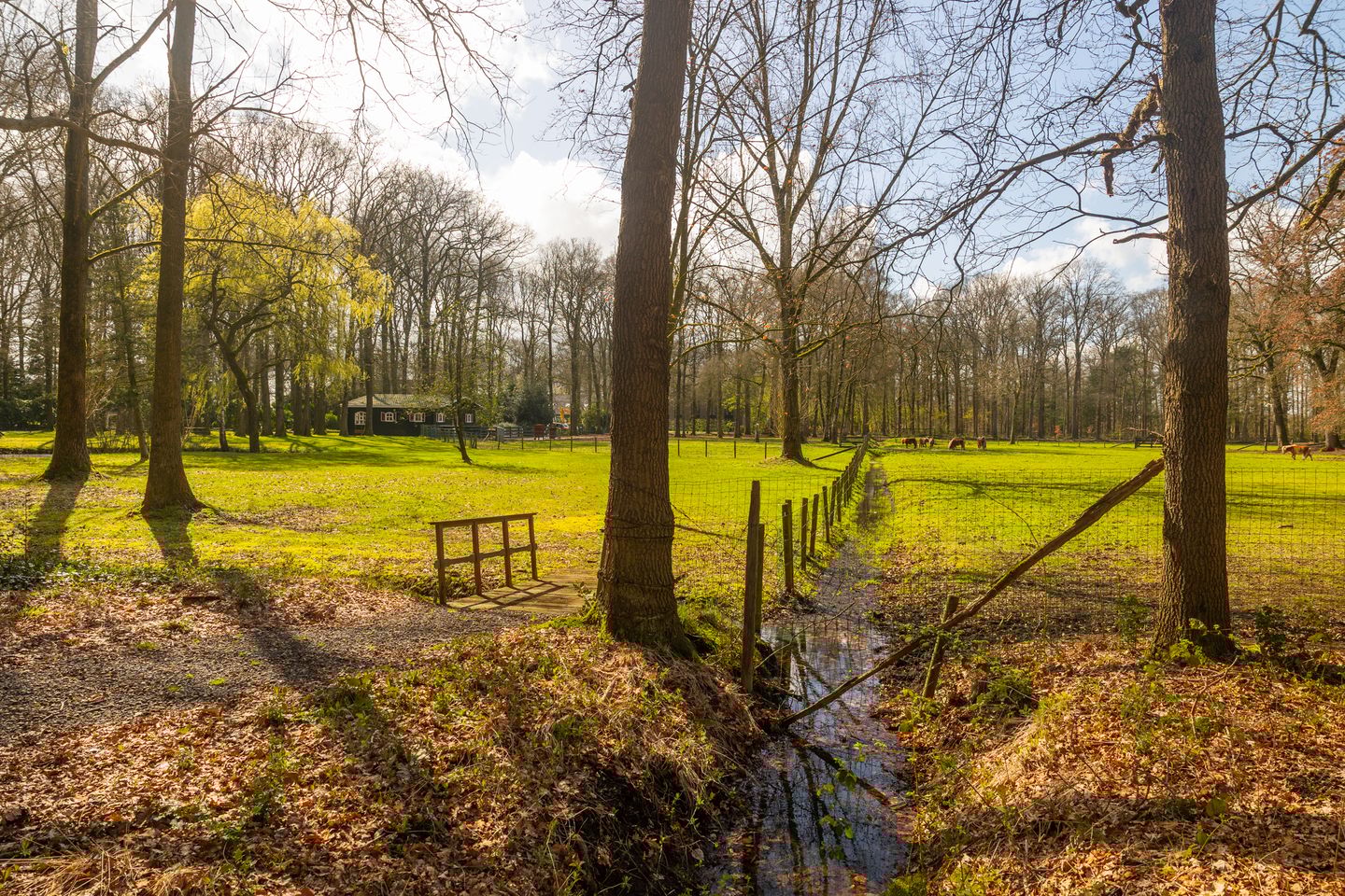 Photo 4 of Stroe Allee 2