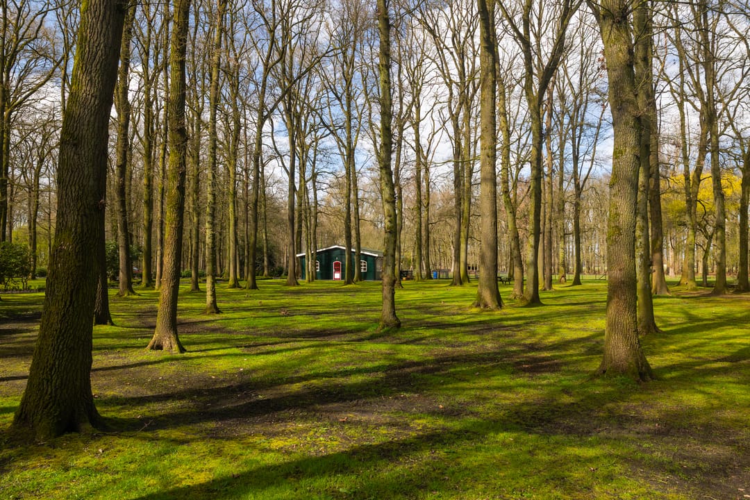 Photo 52 of Stroe Allee 2