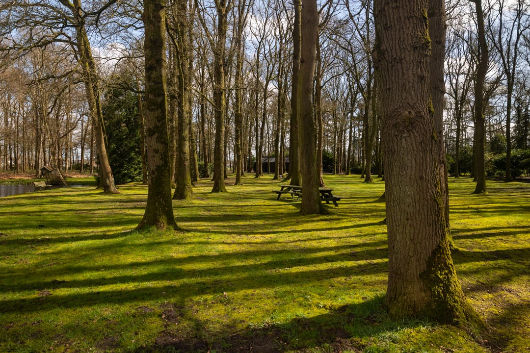 Photo 58 of Stroe Allee 2