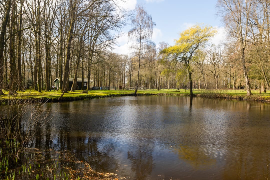 Photo 61 of Stroe Allee 2