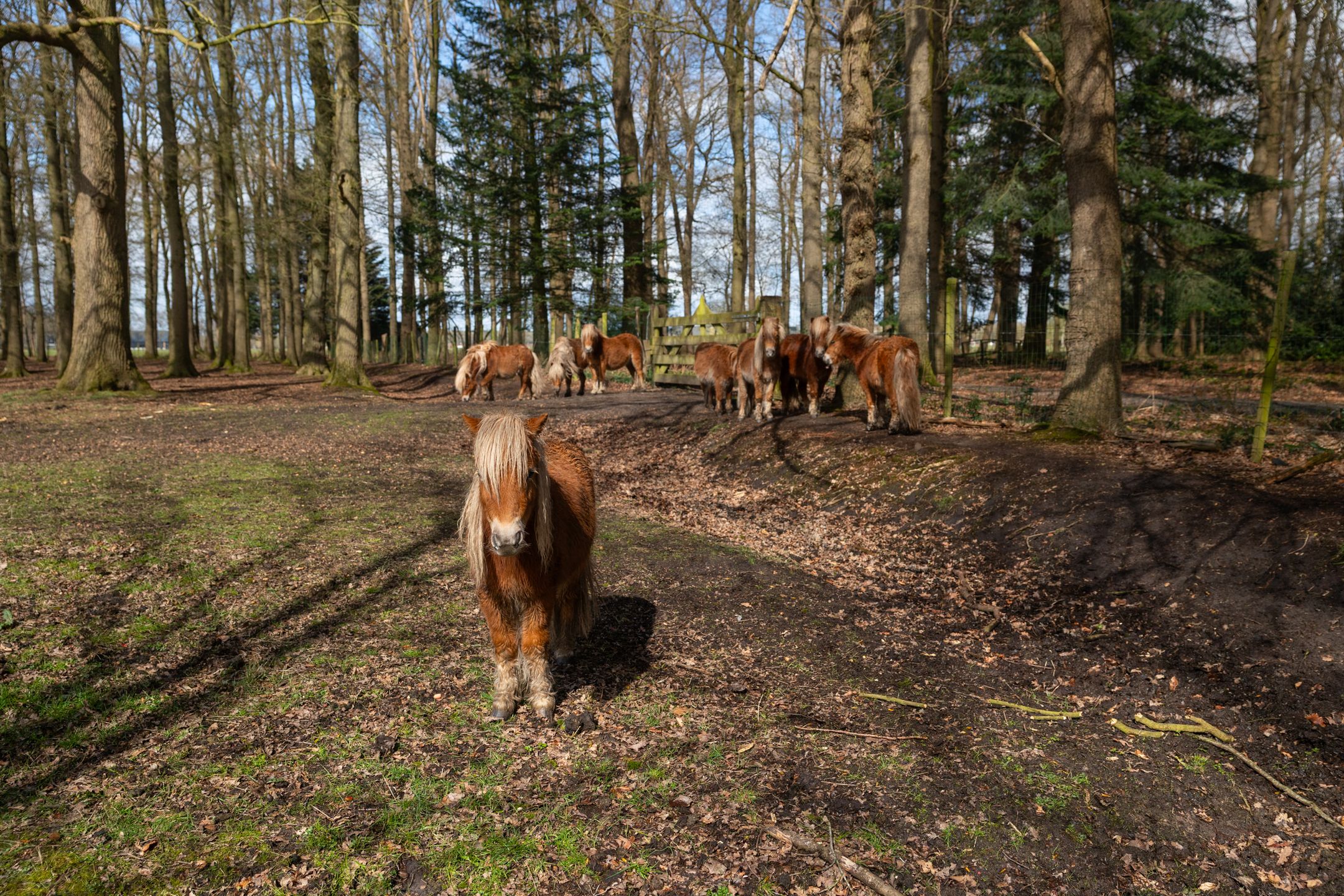 Photo 60 of Stroe Allee 2