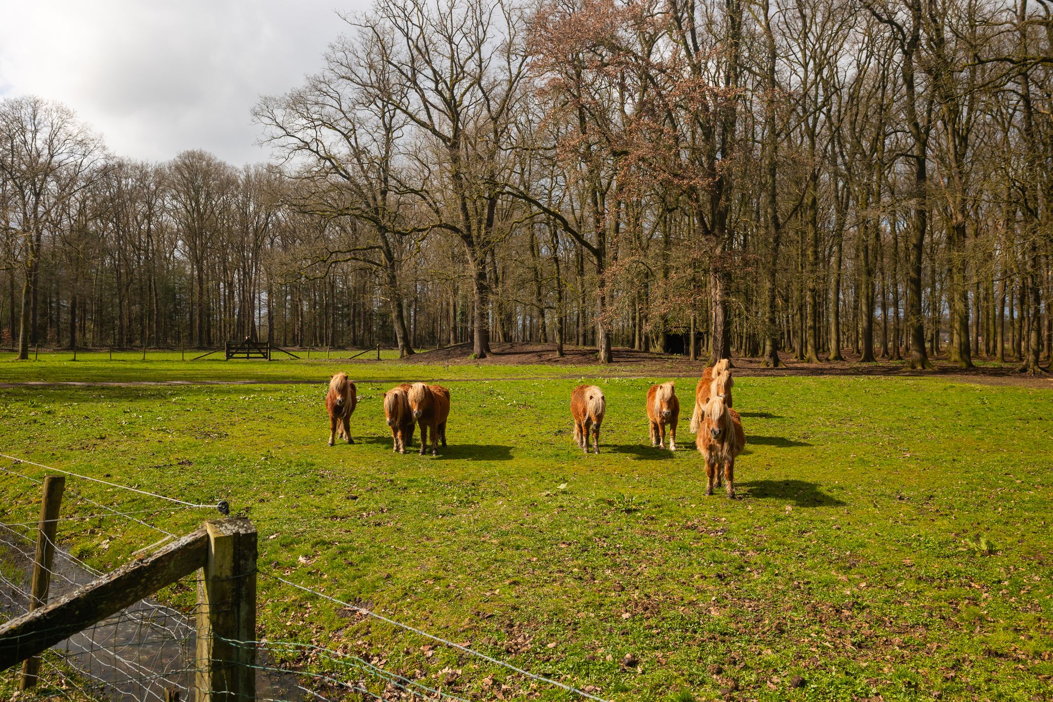 Photo 66 of Stroe Allee 2