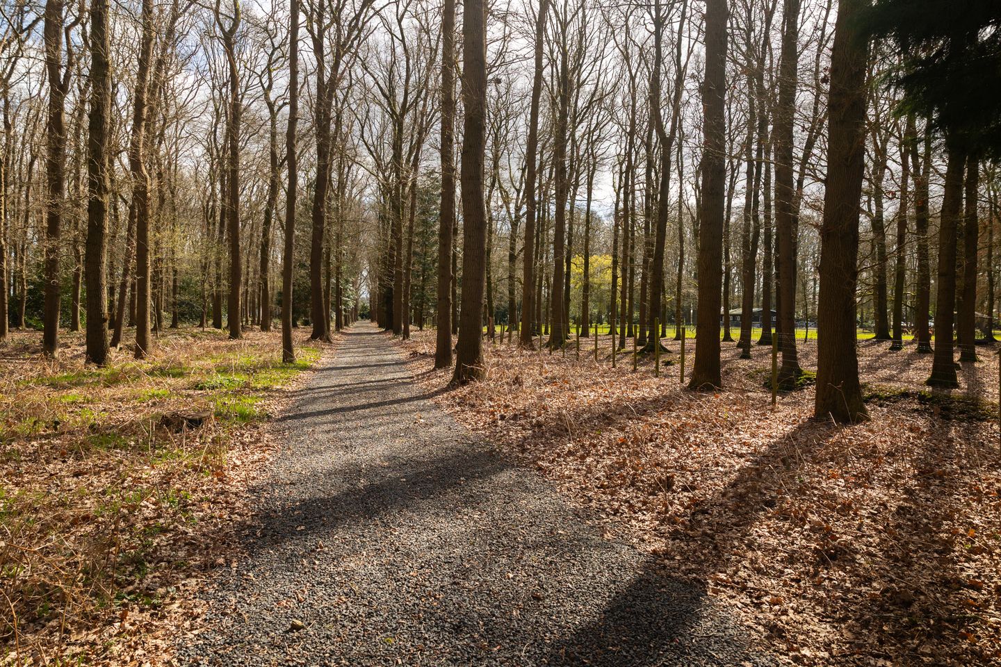 Photo 70 of Stroe Allee 2