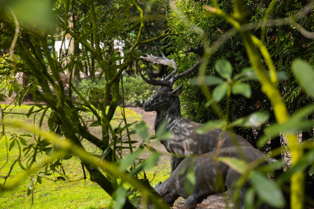 Photo 71 of Stroe Allee 2