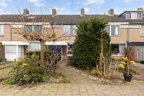 Bachstraat thumbnail