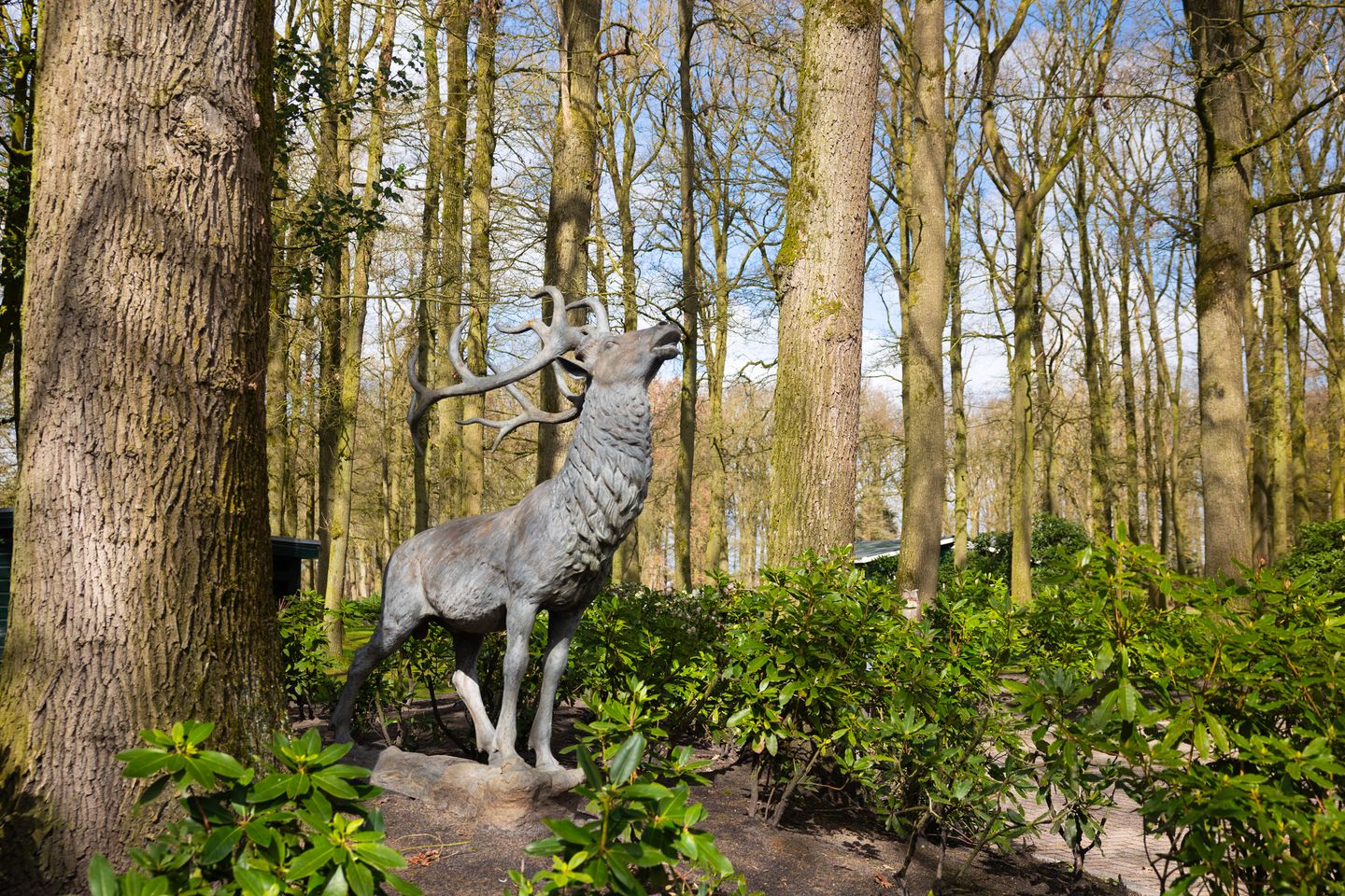 Photo 49 of Stroe Allee 2