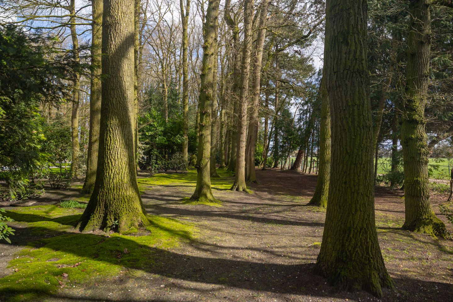 Photo 59 of Stroe Allee 2