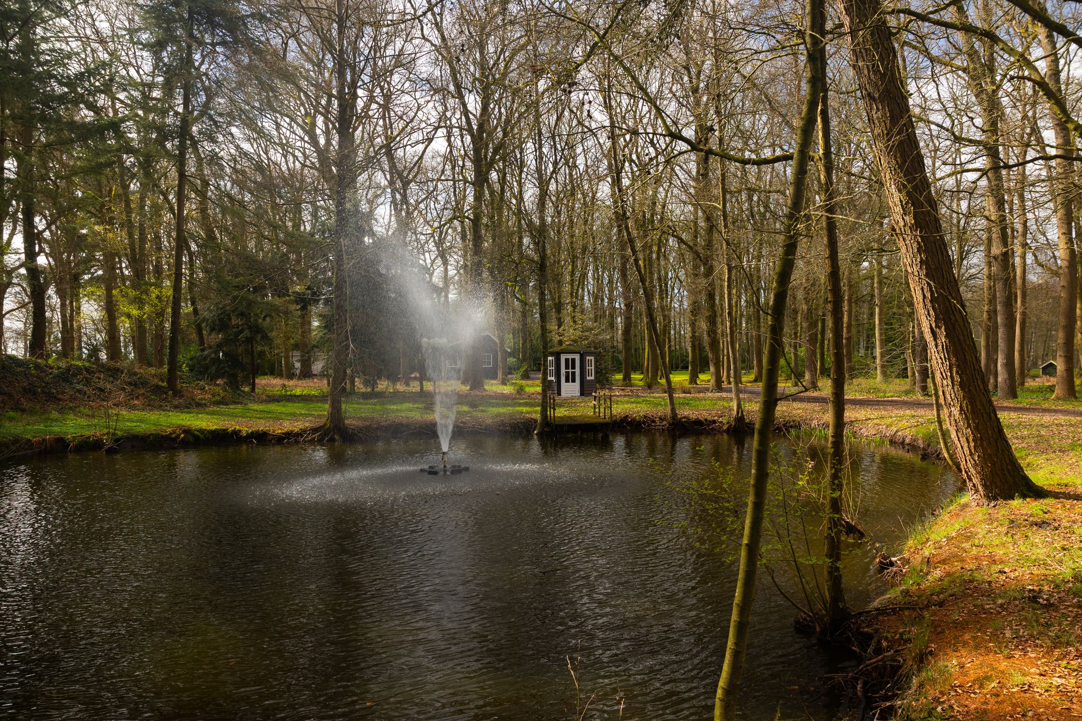 Photo 63 of Stroe Allee 2