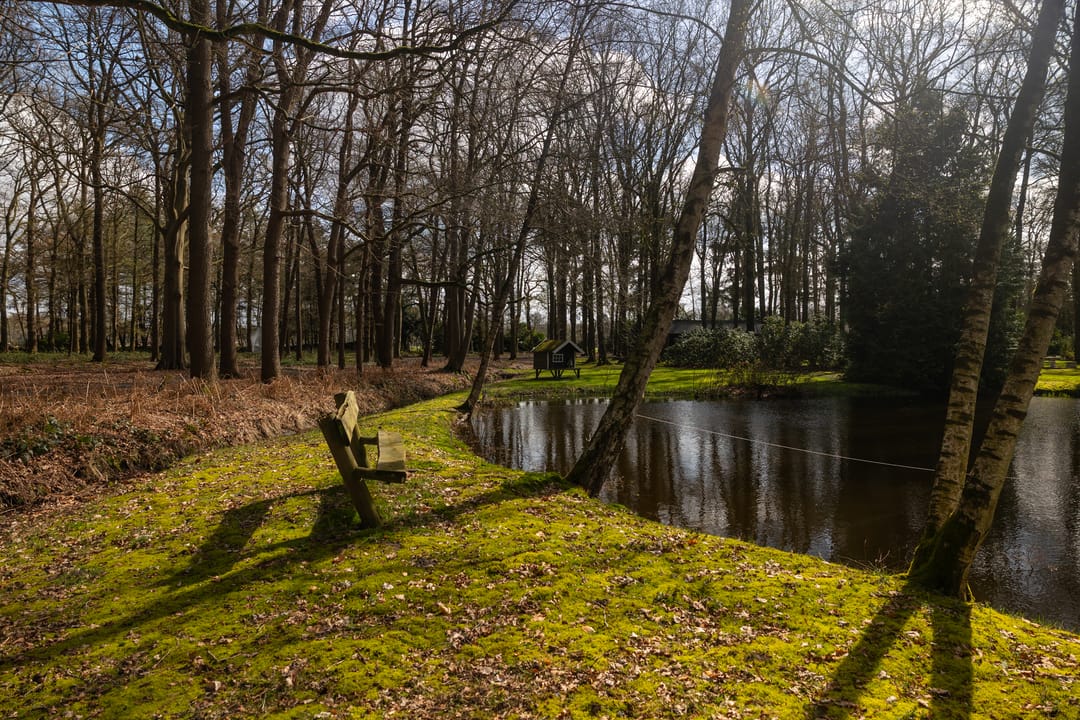 Photo 62 of Stroe Allee 2