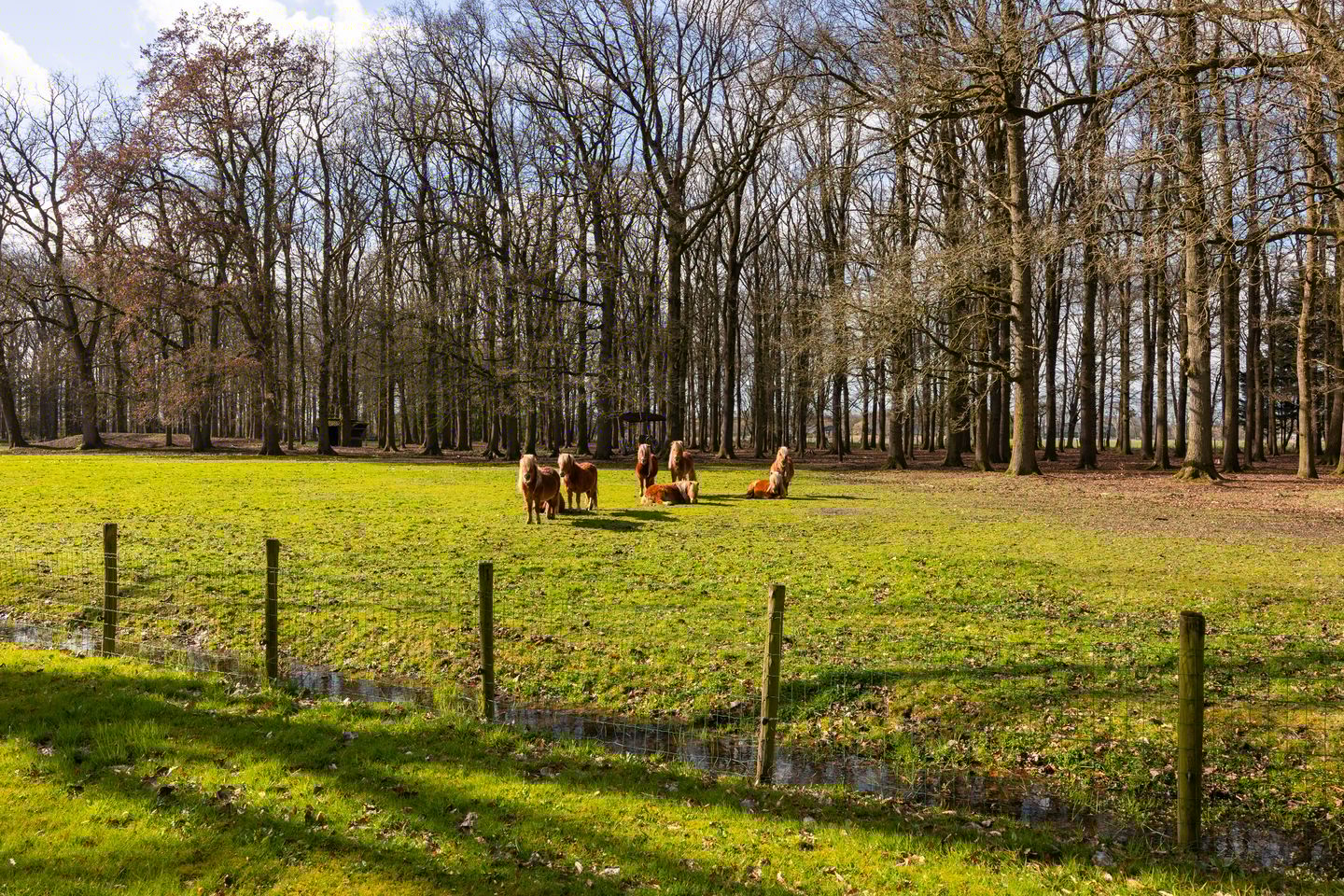 Photo 65 of Stroe Allee 2