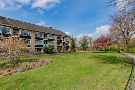 Soestdijkseweg Zuid thumbnail